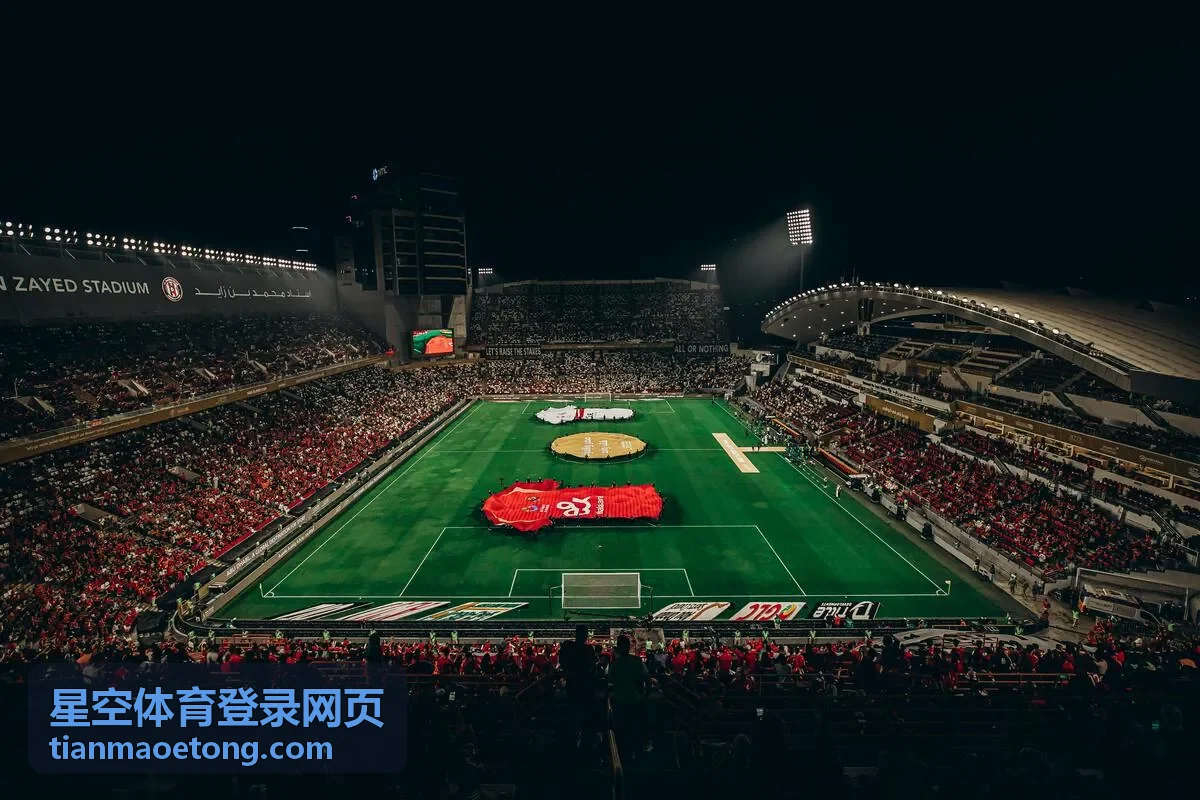 星空体育登录网页异常排查与常见问题栏目