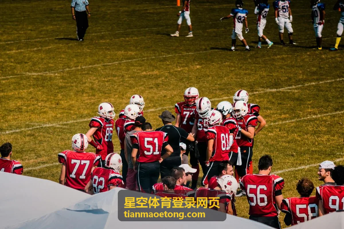 星空体育登录网页网页端功能导航栏目