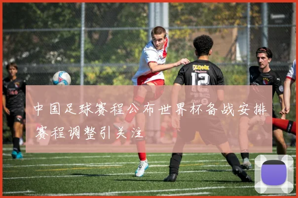 中国足球赛程公布世界杯备战安排 赛程调整引关注