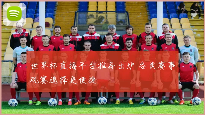 世界杯直播平台推荐出炉 各类赛事观赛选择更便捷