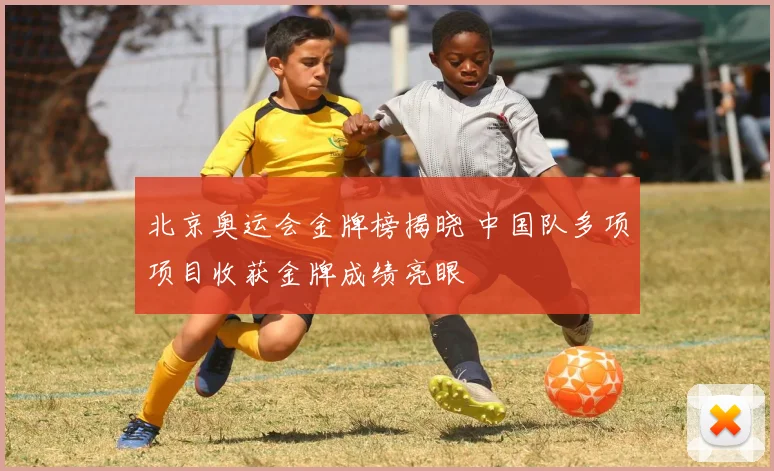 北京奥运会金牌榜揭晓 中国队多项项目收获金牌成绩亮眼