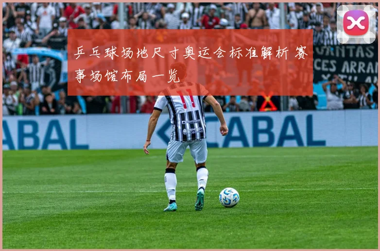乒乓球场地尺寸奥运会标准解析 赛事场馆布局一览