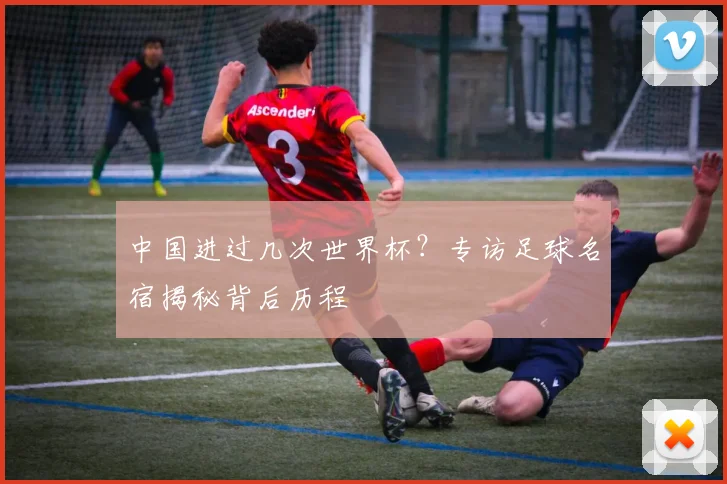 中国进过几次世界杯？专访足球名宿揭秘背后历程
