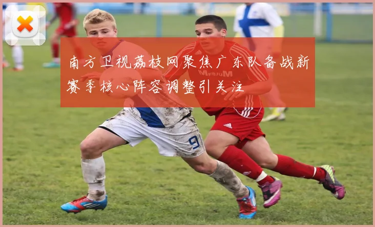 南方卫视荔枝网聚焦广东队备战新赛季核心阵容调整引关注